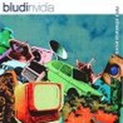 Bludinvidia - NON E&#039; ABBASTANZA ANCORA