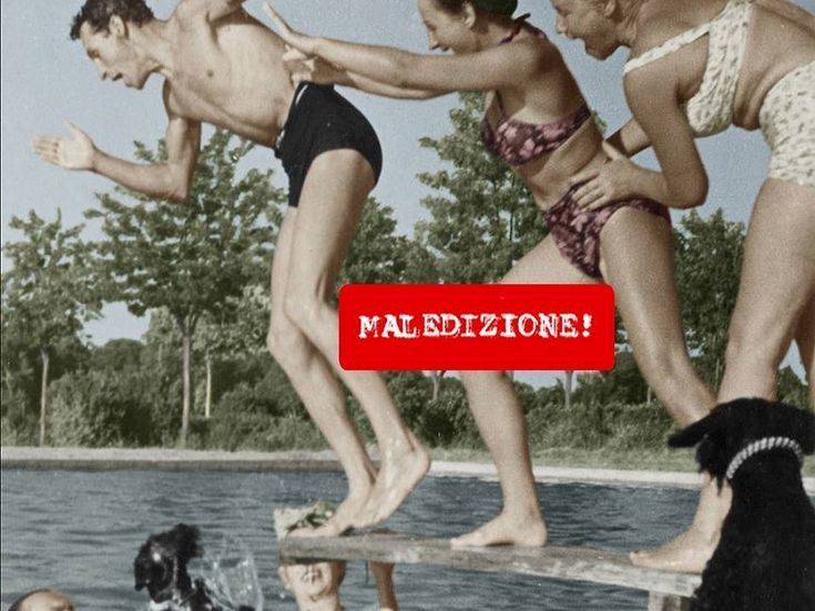 MALEDIZIONE! Testaintasca