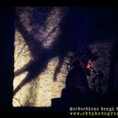 25 febbraio 2017 - La Citt&agrave; del Teatro - Cascina (Pi) - Vinicio Capossela in concerto