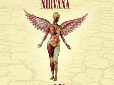 Nirvana: online un video dell&apos;ultimo concerto della band a Los Angeles - guarda
