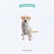 Nicol&ograve; Carnesi - BELLISSIMA NOIA