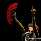 5 luglio 2016 - Blues in Villa - Parco di Villa Varda - Brugnera (Pn) - Incognito in concerto