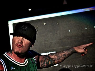 Limp Bizkit, il prossimo cd sarà &quot;Stampede of the disco elephants&quot; 
