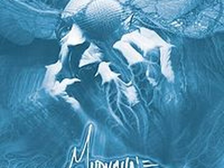 copertina Mudvayne