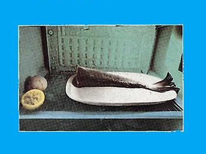 Francesco De Gregori La Leva Calcistica Della Classe 68 Testo √ Francesco De Gregori, "La leva calcistica della classe '68" - Rockol