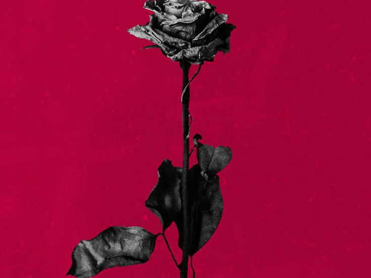 Blackbear
