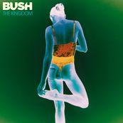 Bush - THE KINGDOM