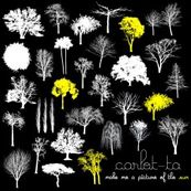 Carlot-ta - MAKE ME A PICTURE OF THE SUN