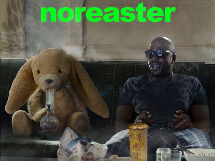 N.O.R.E. cambia nome e diventa P.A.P.I.