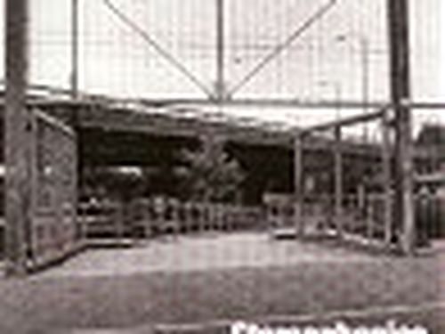 Annullato il primo premio della musica gallese (non ci va nessuno)