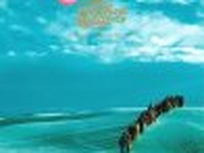 Polyphonic Spree, a fine maggio il nuovo album