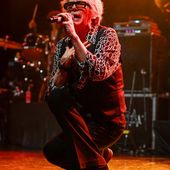 11 novembre 2025 - Fabrique - Milano - Psychedelic Furs in concerto 11 novembre 2025 - Fabrique - Milano - Psychedelic Furs in concerto