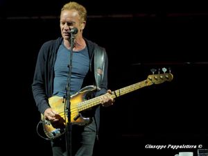 Sting