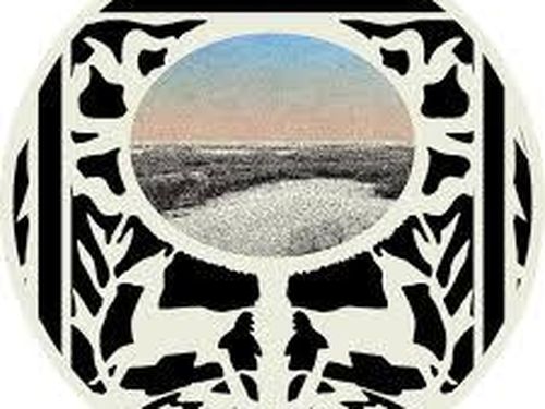 I festival e il cambiamento climatico: il caso di Hinterland