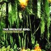 Promise Ring - WOOD/WATER
