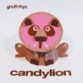 Gruff Rhys - CANDYLION