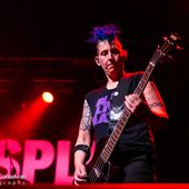 2 ottobre 2025 - Hall - Padova - Split Dogs in concerto