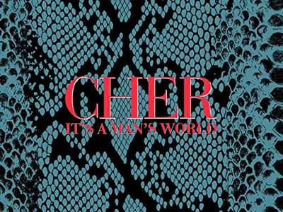 Rock e politica, le esternazioni di Cher (vs Palin) e Roger Daltrey (vs Blair)