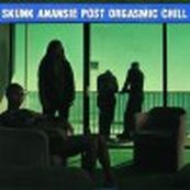 Skunk Anansie - POST ORGASMIC CHILL