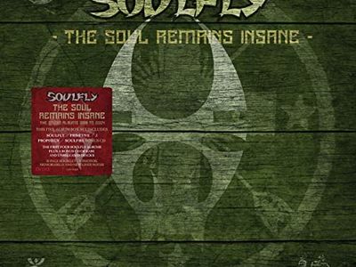 Bruciata bandiera americana sul palco dei Soulfly