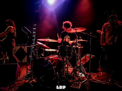 Licenziati dalla Capitol: ora  i Dandy Warhols fanno da sé