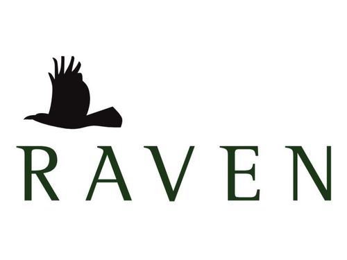 Cataloghi musicali, nasce Raven Music Partners
