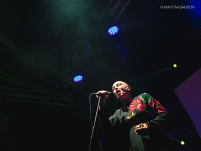 Concerti, Sinead O'Connor: unica data italiana il 2 luglio a VIlla Arconati