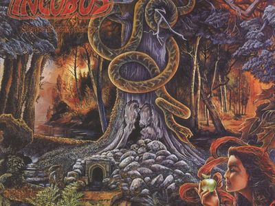 Concerti, Incubus: unica data italiana il 15 novembre a  Milano