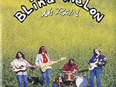 Metà dei Blind Melon e un po’ di Pearl Jam negli Unified Theory