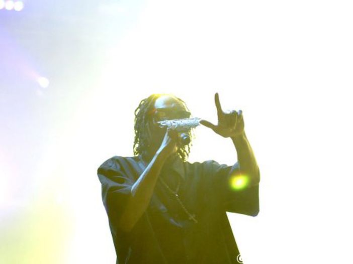 Addio al celibato del principe William, la canzone sexy di Snoop Dogg Addio al celibato del principe William, la canzone sexy di Snoop Dogg