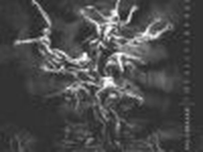 Lisa Gerrard, 24 anni di musica &#039;impermanente&#039;