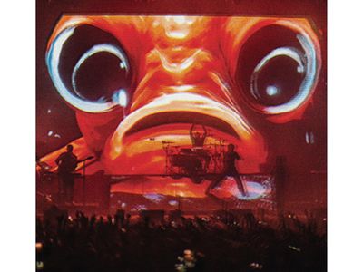 ENTER SHIKARI disco live Wembley