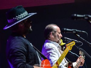 Colin Hay (Men at Work), ingiunzione di pagamento &apos;live&apos;
