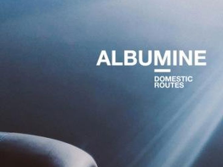 DOMESTIC ROUTES Albumine