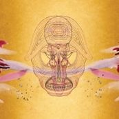 Devendra Banhart - WHAT WILL WE BE Devendra Banhart - WHAT WILL WE BE