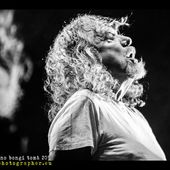 11 luglio 2014 - Pistoia Blues Festival - Piazza del Duomo - Pistoia - Robert Plant in concerto