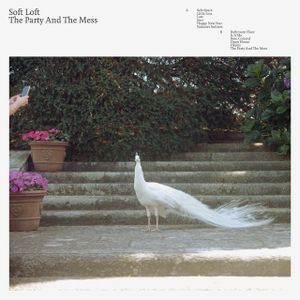 Soft Loft Soft Loft