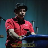 18 luglio 2017 - Flowers Festival - Parco della Certosa Reale - Collegno (To) - Einsturzende Neubauten in concerto