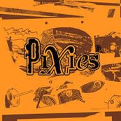 Pixies - INDIE CINDY