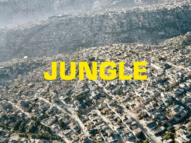 JUNGLE Blaze