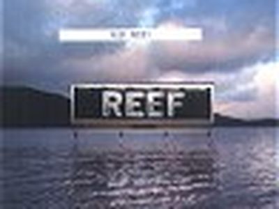 Calcio: torneo tra popstar a Londra: dominano i Reef, benino i 5ive, in forma Rod Stewart