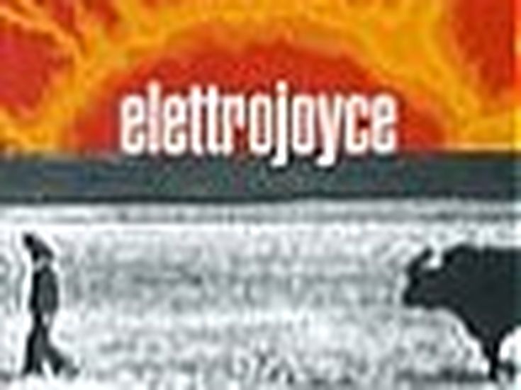Gli Elettrojoyce al concertone del 1° maggio