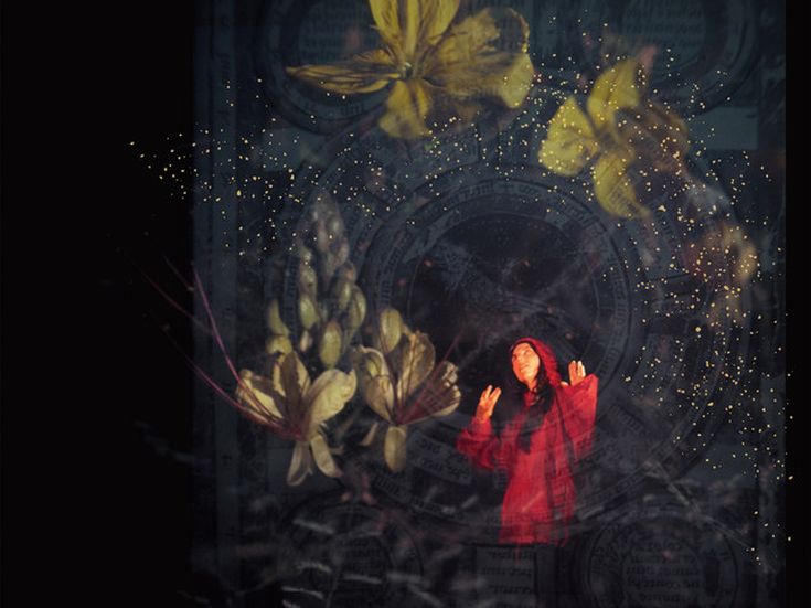 AVIARY Julia Holter