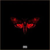 Lil&#039; Wayne - I AM NOT A HUMAN BEING II