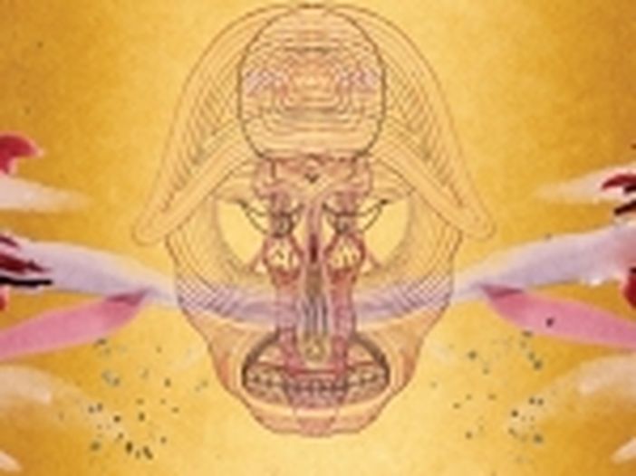 Tanti anni fa Devendra Banhart... Tanti anni fa Devendra Banhart...