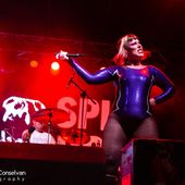 2 ottobre 2025 - Hall - Padova - Split Dogs in concerto