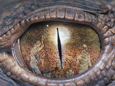 Rodrigo y Gabriela su MusicVideos dal vivo per Radio Popolare e Rockol