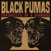 Black Pumas - CHRONICLES OF A DIAMOND