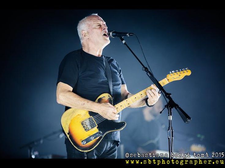 David Gilmour