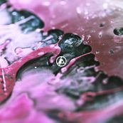 Linkin Park - FROM ZERO